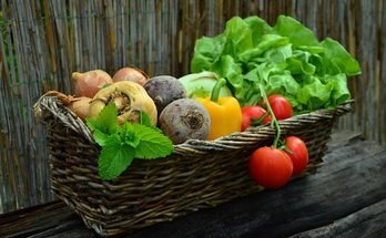 How to Grow Spinach at Home: A Complete Beginner’s Guide