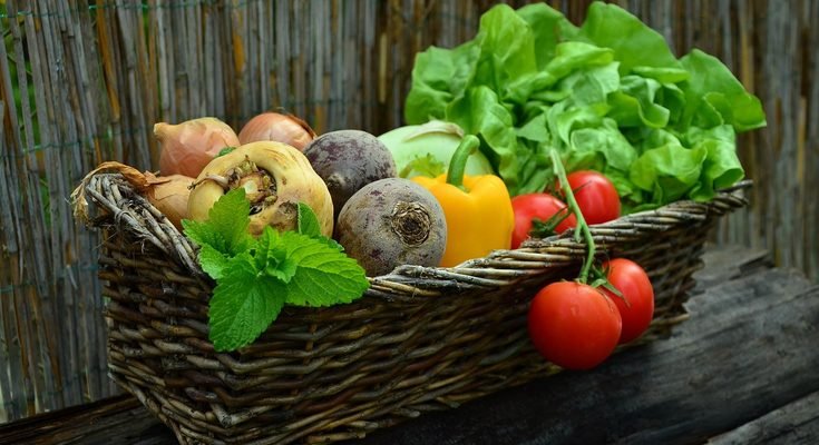How to Grow Spinach at Home: A Complete Beginner’s Guide
